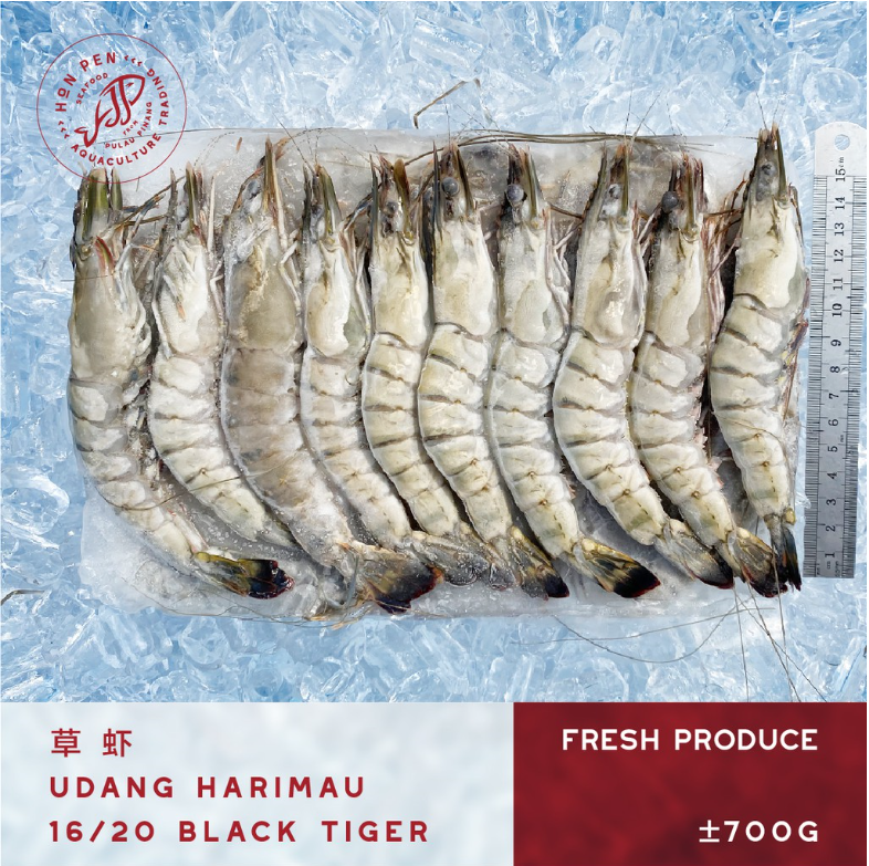 BLACK TIGER 16/20 草虾 UDANG HARIMAU (Seafood) ±700g