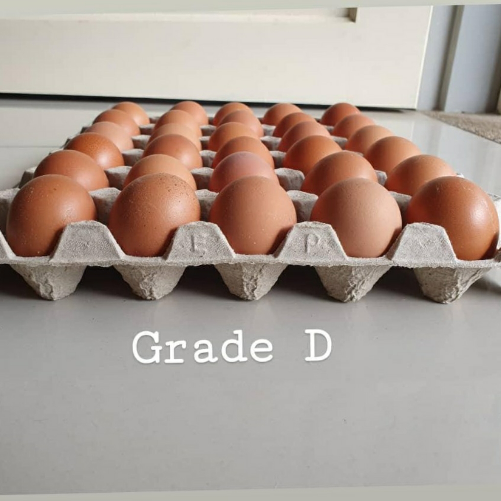 Fresh from Farm Grade D eggs