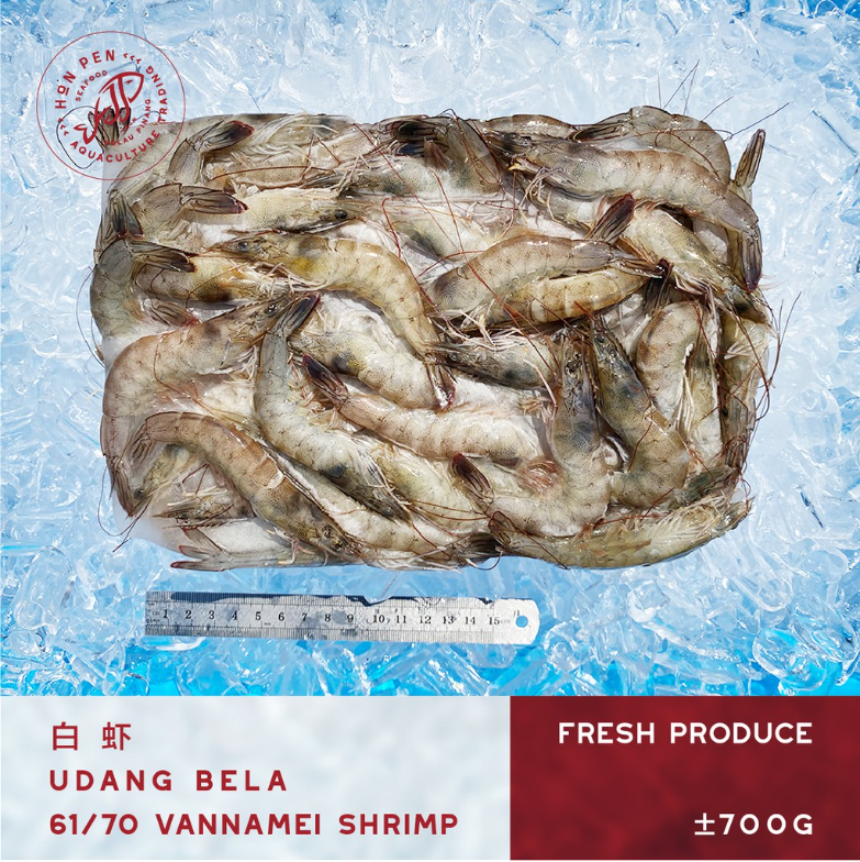 VANNAMEI SHRIMP 61/70 白 虾 UDANG BELA (Seafood) ±700g