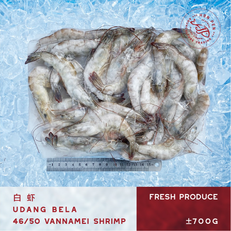 VANNAMEI SHRIMP 46/50 白虾 UDANG BELA (Seafood) ±700g