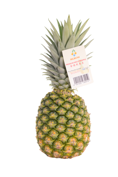 Premium MD2 Pineapple