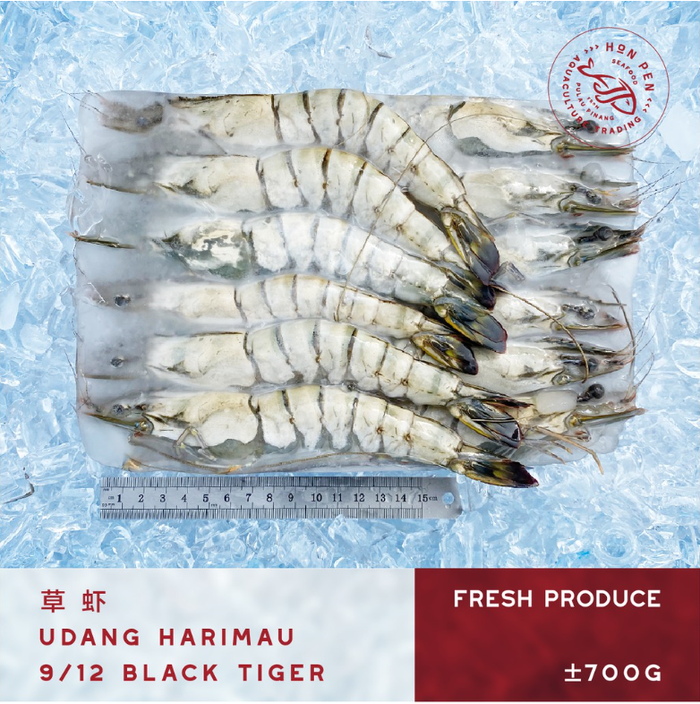 BLACK TIGER 9/12 草虾 UDANG HARIMAU (Seafood) ±700g