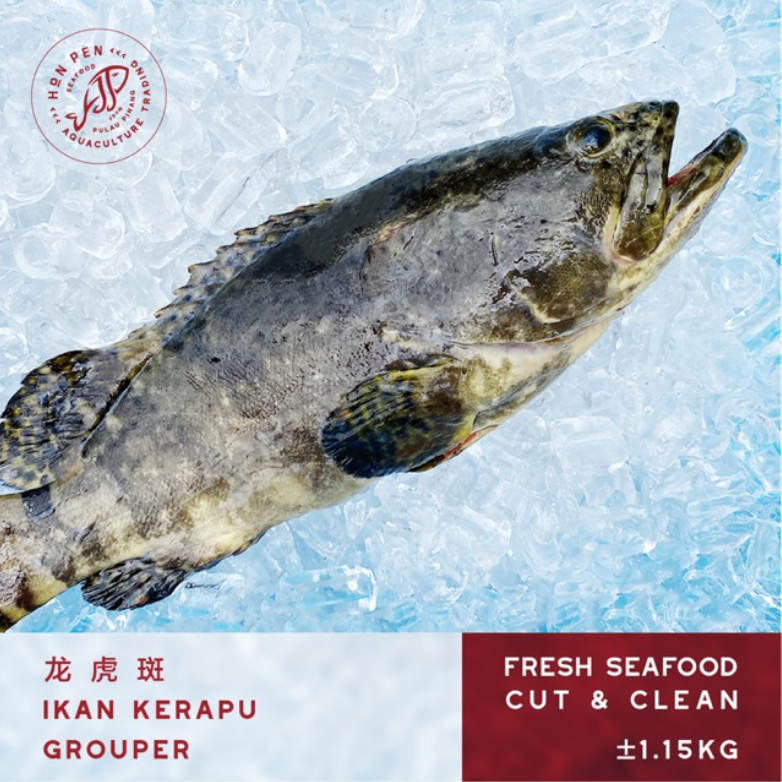 GROUPER 龙虎斑 Ikan Kerapu (Seafood) ±1.15kg