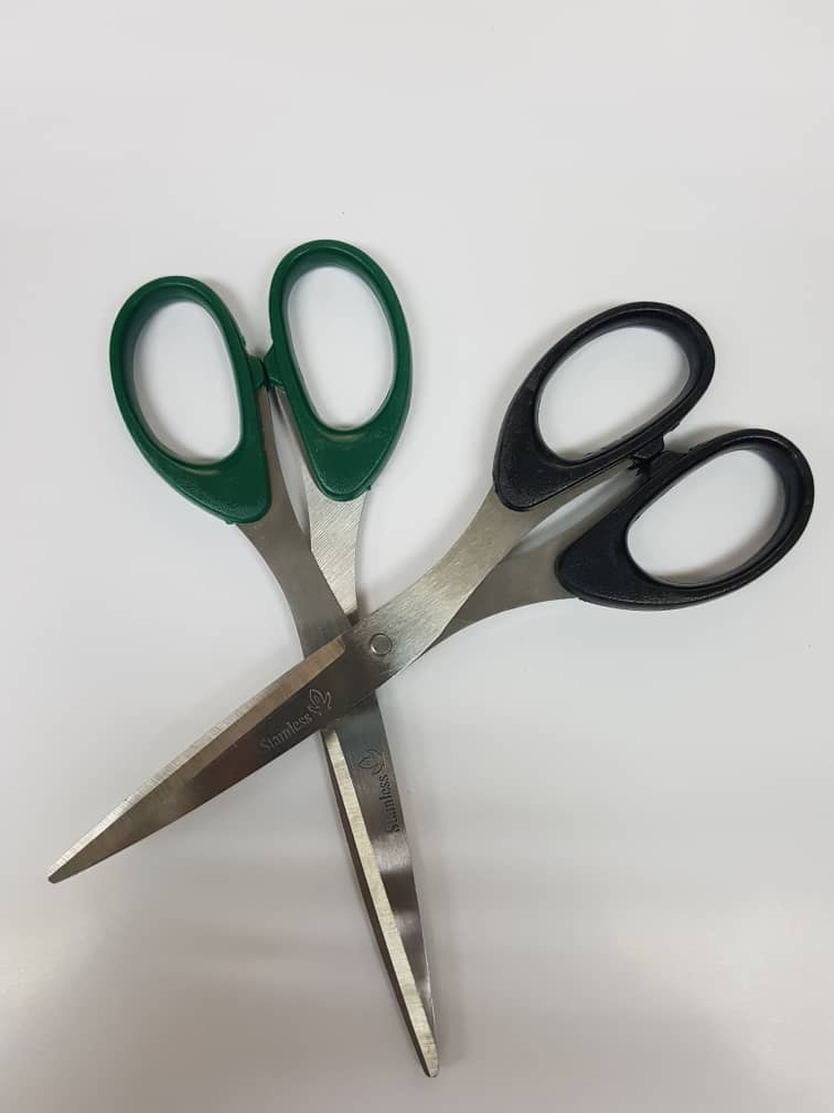 Multipurpose Stainless Steel Scissors (8886)