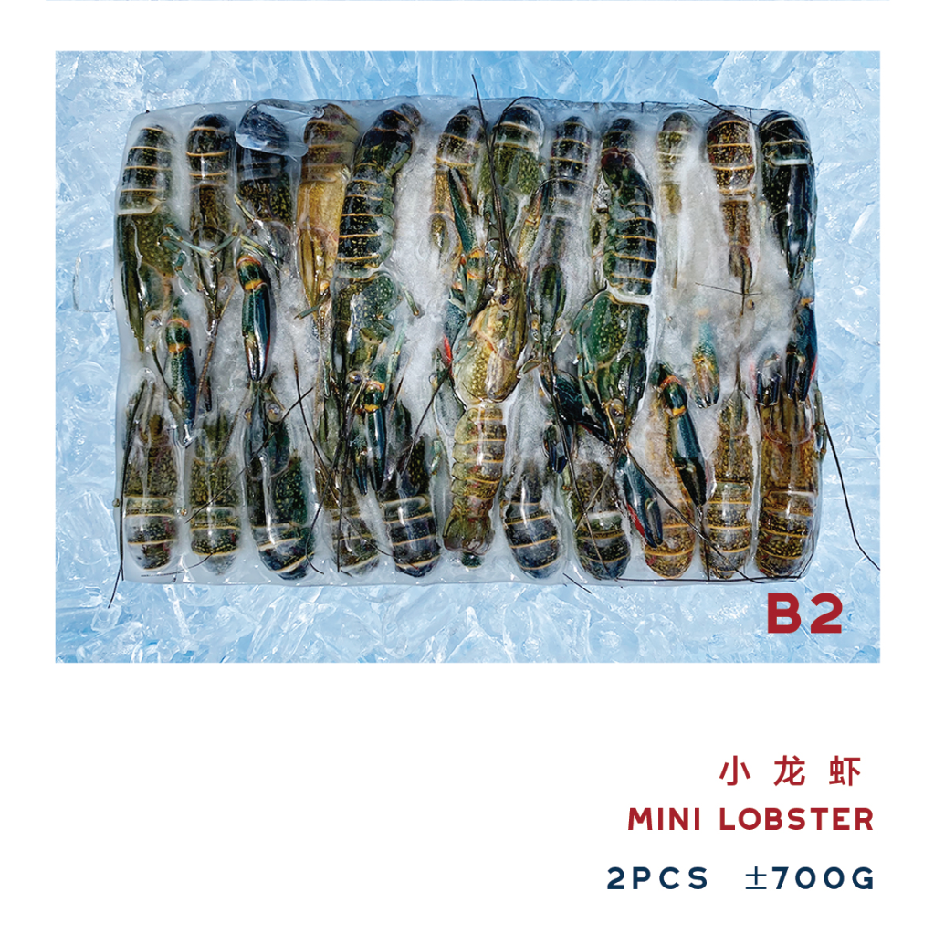  B2 MINI LOBSTER 小龙虾 ±700g （2PCS）