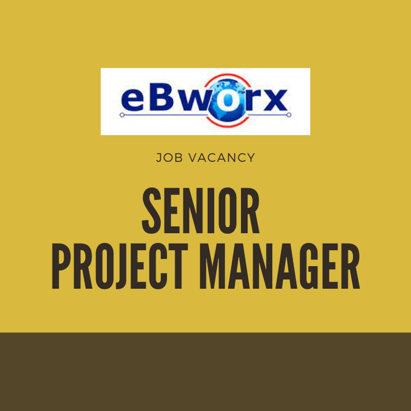RM16K-RM17K Senior Project Manager Job #0431