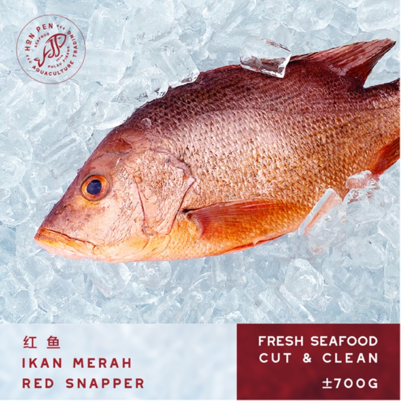 Red Snapper 红 鱼 IKAN MERAH (Seafood) ±700g